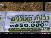 כפרניק 1גבעת האורנים נענע10 גזענות או אי הבנה? כפרניק 1גבעת האורנים נענע10 גזענות או אי הבנה?